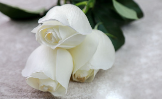 flores para difuntos m30 madrid